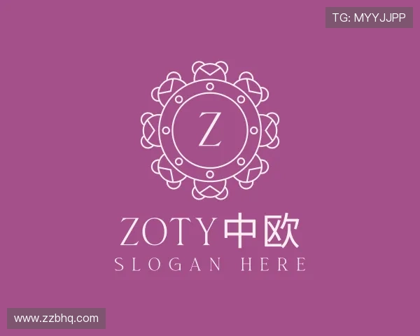 解读zoty中欧
